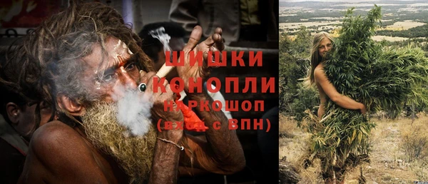 скорость Вяземский