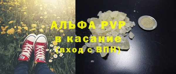 скорость Вяземский